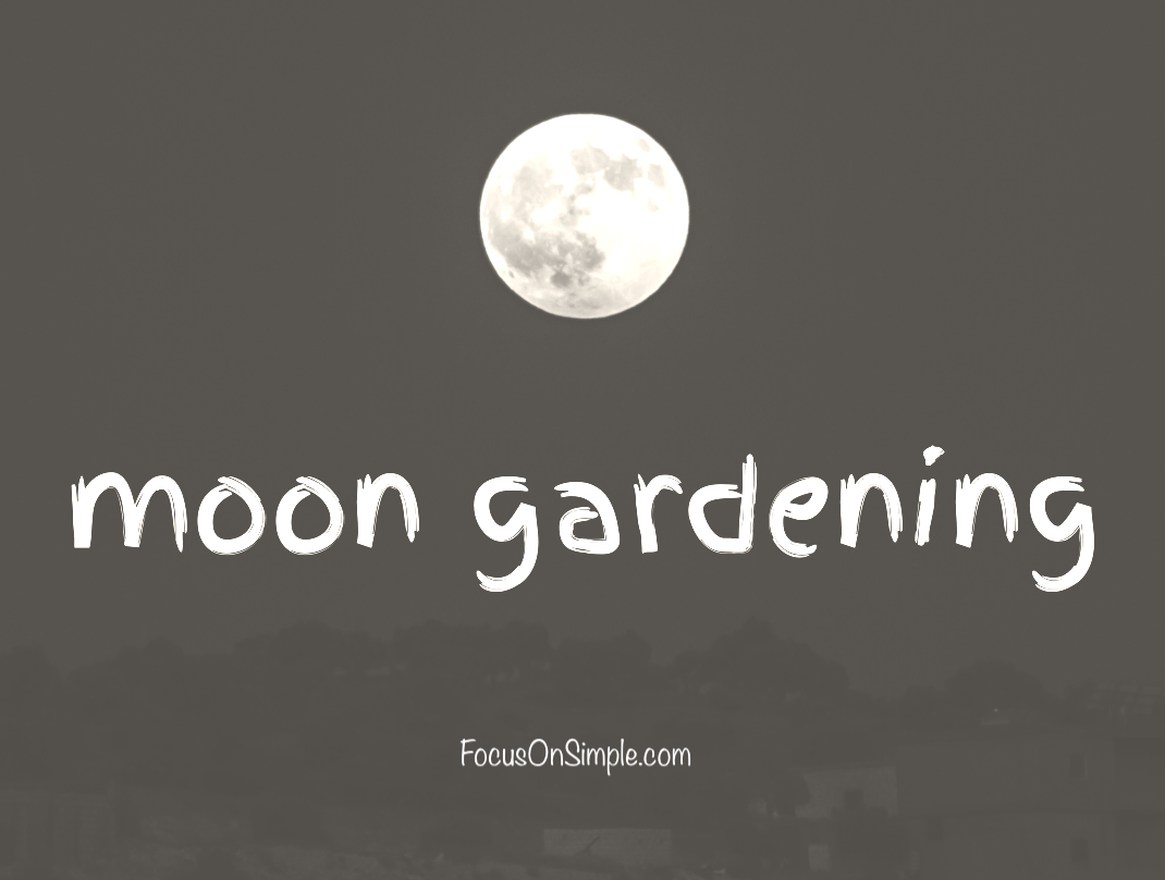 Focus On Simple | Moon Gardening | Focus On Simple